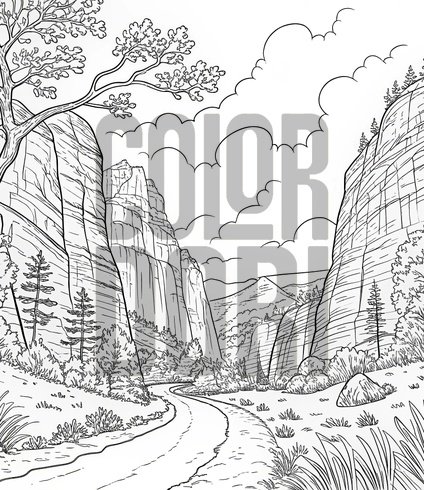 Forest and Field: Large Landscapes and Wildlife