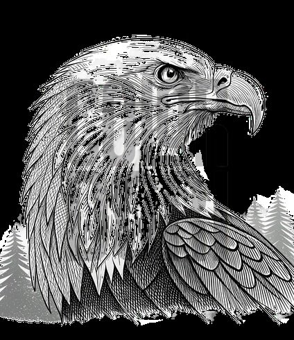 Exotic Birds & Beasts