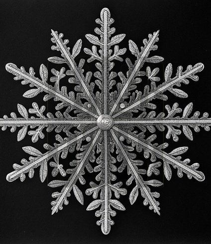 Snowflake Halo Cutout