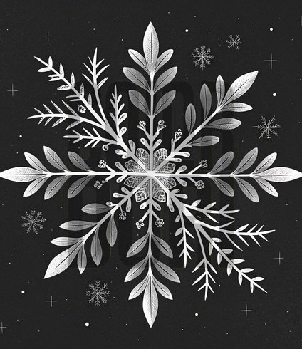 Intricate Ice Crystals