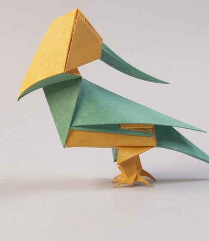 Colorful Macaw Parrot