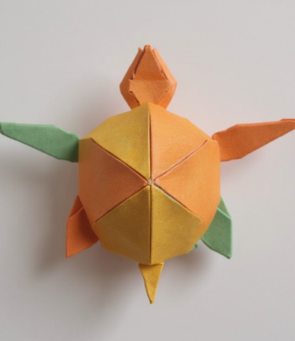 Realistic Sea Turtle