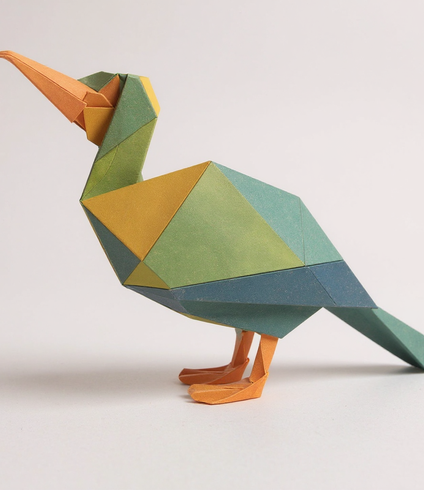 Elegant Cormorant Bird